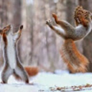 Meet your Posher, Marc arthur